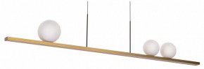 Подвесной светильник Citilux Glob CL209133 в Кудымкаре - kudymkar.mebel24.online | фото