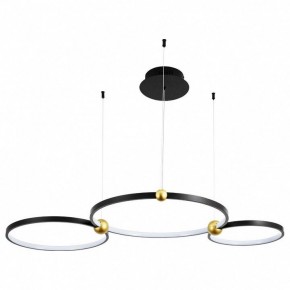 Подвесной светильник Divinare Amadeo 1123/04 SP-75 в Кудымкаре - kudymkar.mebel24.online | фото
