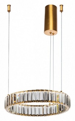 Подвесной светильник Divinare Renata 1135/17 SP-25 в Кудымкаре - kudymkar.mebel24.online | фото 2