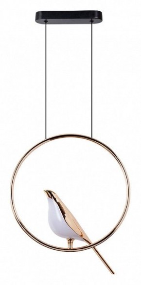 Подвесной светильник Divinare Summer 1188/01 SP-9 в Кудымкаре - kudymkar.mebel24.online | фото 2