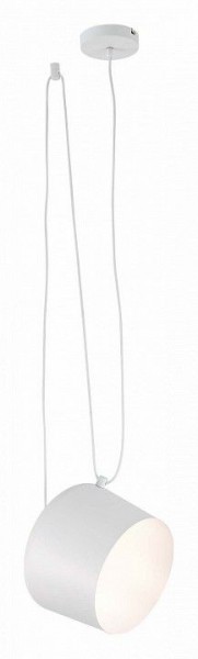 Подвесной светильник EVOLUCE Trieste SLE120653-01 в Кудымкаре - kudymkar.mebel24.online | фото 3