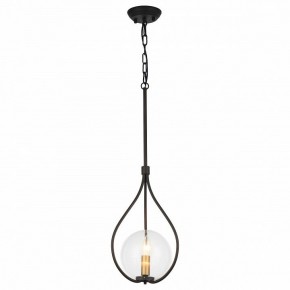 Подвесной светильник Favourite Kessel 1905-1P в Кудымкаре - kudymkar.mebel24.online | фото 2