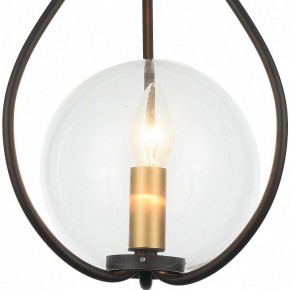 Подвесной светильник Favourite Kessel 1905-1P в Кудымкаре - kudymkar.mebel24.online | фото 3