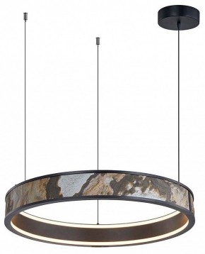 Подвесной светильник Favourite Lago 4598-1P в Кудымкаре - kudymkar.mebel24.online | фото 2
