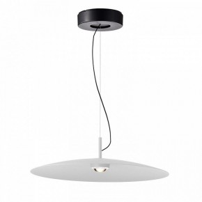 Подвесной светильник Favourite Lars 4410-1P в Кудымкаре - kudymkar.mebel24.online | фото 2