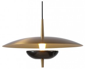 Подвесной светильник Favourite Marmo 4246-1P в Кудымкаре - kudymkar.mebel24.online | фото