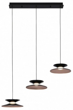 Подвесной светильник Favourite Platt 4372-3P в Кудымкаре - kudymkar.mebel24.online | фото 2