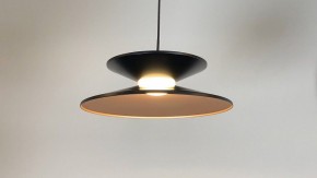 Подвесной светильник Favourite Platt 4372-3P в Кудымкаре - kudymkar.mebel24.online | фото 3