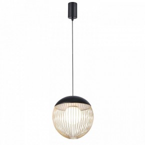 Подвесной светильник Favourite Сore 4240-1P в Кудымкаре - kudymkar.mebel24.online | фото