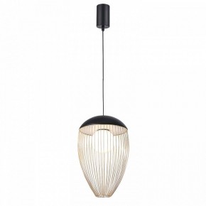 Подвесной светильник Favourite Сore 4241-1P в Кудымкаре - kudymkar.mebel24.online | фото 2
