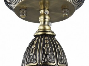 Подвесной светильник Favourite Sorento 1584-1P в Кудымкаре - kudymkar.mebel24.online | фото 4