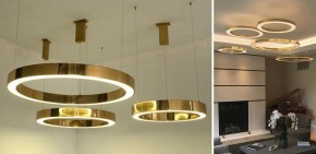 Подвесной светильник Imperiumloft Light Ring Horizontal 40.1454-60 в Кудымкаре - kudymkar.mebel24.online | фото 2