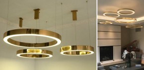 Подвесной светильник Imperiumloft Light Ring Horizontal 40.1454-80 в Кудымкаре - kudymkar.mebel24.online | фото 3