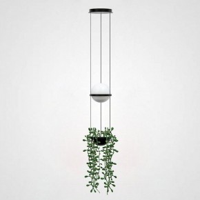 Подвесной светильник Imperiumloft Palma Wall Lamp 22.93727 в Кудымкаре - kudymkar.mebel24.online | фото