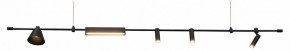 Подвесной светильник Kink Light Ристо 07616-180L,19 в Кудымкаре - kudymkar.mebel24.online | фото