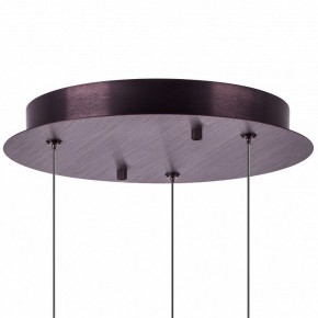 Подвесной светильник Lightstar Caramello 796139 в Кудымкаре - kudymkar.mebel24.online | фото 13