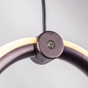 Подвесной светильник Lightstar Caramello 796169 в Кудымкаре - kudymkar.mebel24.online | фото 10