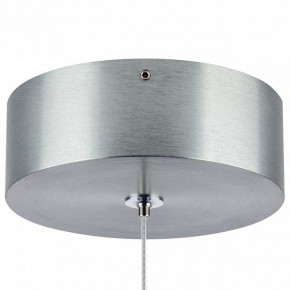 Подвесной светильник Lightstar Colore 805401 в Кудымкаре - kudymkar.mebel24.online | фото 7