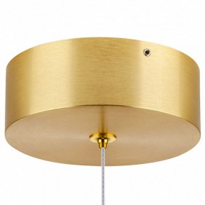 Подвесной светильник Lightstar Colore 805403 в Кудымкаре - kudymkar.mebel24.online | фото 7