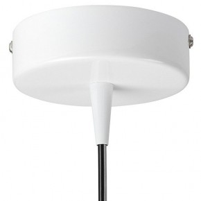 Подвесной светильник Lightstar Conicita 804110 в Кудымкаре - kudymkar.mebel24.online | фото 6