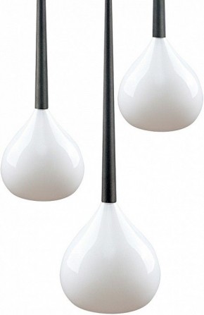 Подвесной светильник Lightstar Forma 808230 в Кудымкаре - kudymkar.mebel24.online | фото 3