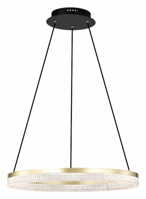 Подвесной светильник Lightstar Rotonda 736161 в Кудымкаре - kudymkar.mebel24.online | фото 2