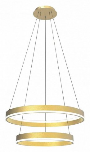 Подвесной светильник Lightstar Rotonda 736422 в Кудымкаре - kudymkar.mebel24.online | фото 2