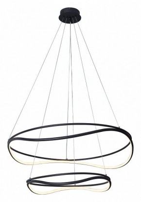 Подвесной светильник Lightstar Rotonda 736527 в Кудымкаре - kudymkar.mebel24.online | фото 2