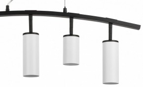 Подвесной светильник Lightstar Rullo LR735362863 в Кудымкаре - kudymkar.mebel24.online | фото 5