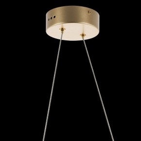Подвесной светильник Lightstar Varese 731313 в Кудымкаре - kudymkar.mebel24.online | фото 7