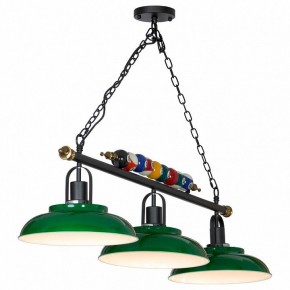 Подвесной светильник Lussole Badger GRLSP-9542 в Кудымкаре - kudymkar.mebel24.online | фото 3