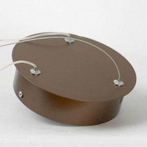 Подвесной светильник Lussole Dade LSP-7250 в Кудымкаре - kudymkar.mebel24.online | фото 5