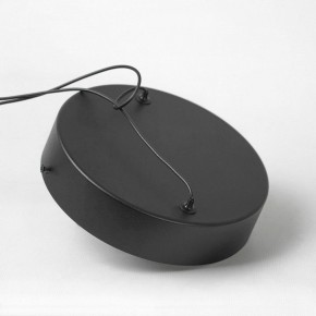 Подвесной светильник Lussole Mitchell LSP-7308 в Кудымкаре - kudymkar.mebel24.online | фото 5