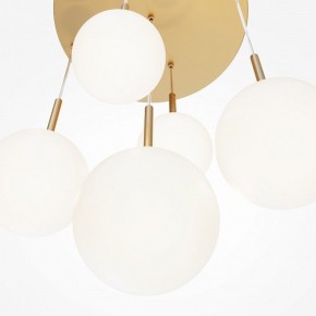 Подвесной светильник Maytoni Basic form MOD321PL-05G1 в Кудымкаре - kudymkar.mebel24.online | фото 3