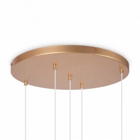 Подвесной светильник Maytoni Basic form MOD521PL-05G в Кудымкаре - kudymkar.mebel24.online | фото 6