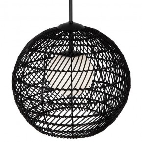 Подвесной светильник Maytoni CANE MOD204PL-01B1 в Кудымкаре - kudymkar.mebel24.online | фото 2