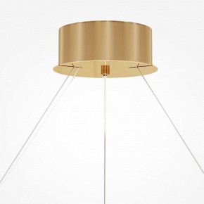 Подвесной светильник Maytoni Castello MOD336PL-L170G3K в Кудымкаре - kudymkar.mebel24.online | фото 4