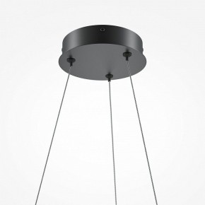 Подвесной светильник Maytoni Curve MOD241PL-L60BK в Кудымкаре - kudymkar.mebel24.online | фото 6