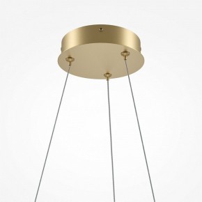 Подвесной светильник Maytoni Curve MOD241PL-L60BSK в Кудымкаре - kudymkar.mebel24.online | фото 6