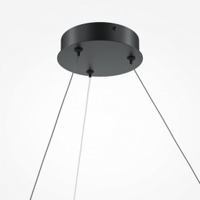 Подвесной светильник Maytoni Curve MOD242PL-L33BK в Кудымкаре - kudymkar.mebel24.online | фото 5
