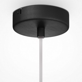 Подвесной светильник Maytoni Duality MOD271PL-01B2 в Кудымкаре - kudymkar.mebel24.online | фото 6