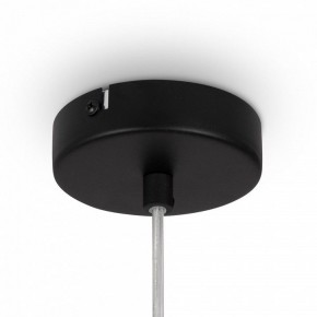 Подвесной светильник Maytoni Duality MOD271PL-01B4 в Кудымкаре - kudymkar.mebel24.online | фото 10