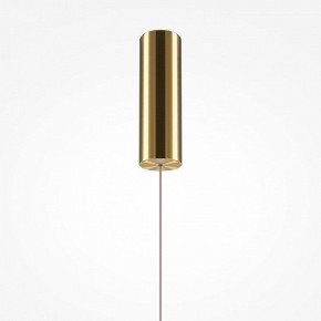 Подвесной светильник Maytoni Golden Cage MOD216PL-L10G3K в Кудымкаре - kudymkar.mebel24.online | фото 4