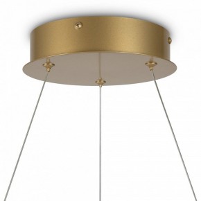 Подвесной светильник Maytoni Halo MOD100PL-L47BSK1 в Кудымкаре - kudymkar.mebel24.online | фото 6