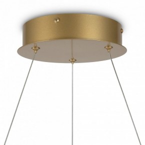 Подвесной светильник Maytoni Halo MOD100PL-L88BSK1 в Кудымкаре - kudymkar.mebel24.online | фото 6