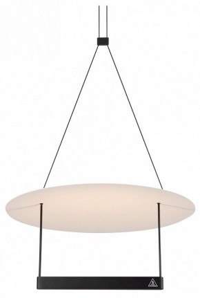 Подвесной светильник Maytoni Halo MOD280PL-L23B3K в Кудымкаре - kudymkar.mebel24.online | фото