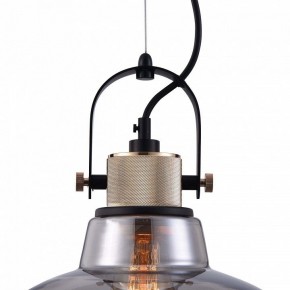 Подвесной светильник Maytoni Irving T163PL-01C в Кудымкаре - kudymkar.mebel24.online | фото 9