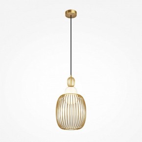 Подвесной светильник Maytoni Levitation MOD376PL-01G1 в Кудымкаре - kudymkar.mebel24.online | фото 2