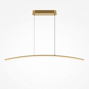 Подвесной светильник Maytoni Light Reflection MOD243PL-L18BSK в Кудымкаре - kudymkar.mebel24.online | фото 3