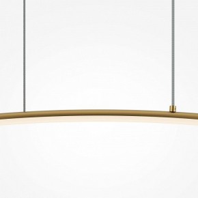 Подвесной светильник Maytoni Light Reflection MOD243PL-L18BSK в Кудымкаре - kudymkar.mebel24.online | фото 4